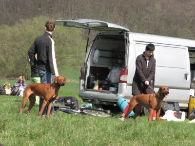 Coursing